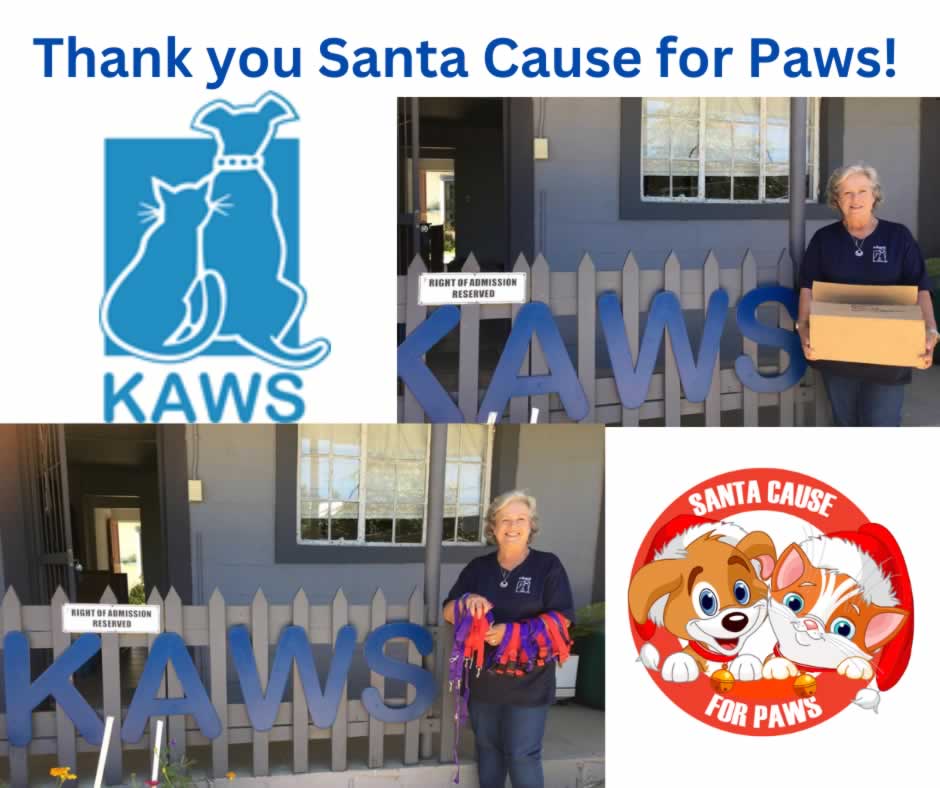 Kleinmond Animal Welfare Society